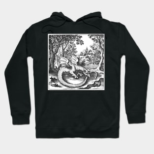 Lambspring Esoteric Alchemy Dragon Serpent Design Hoodie